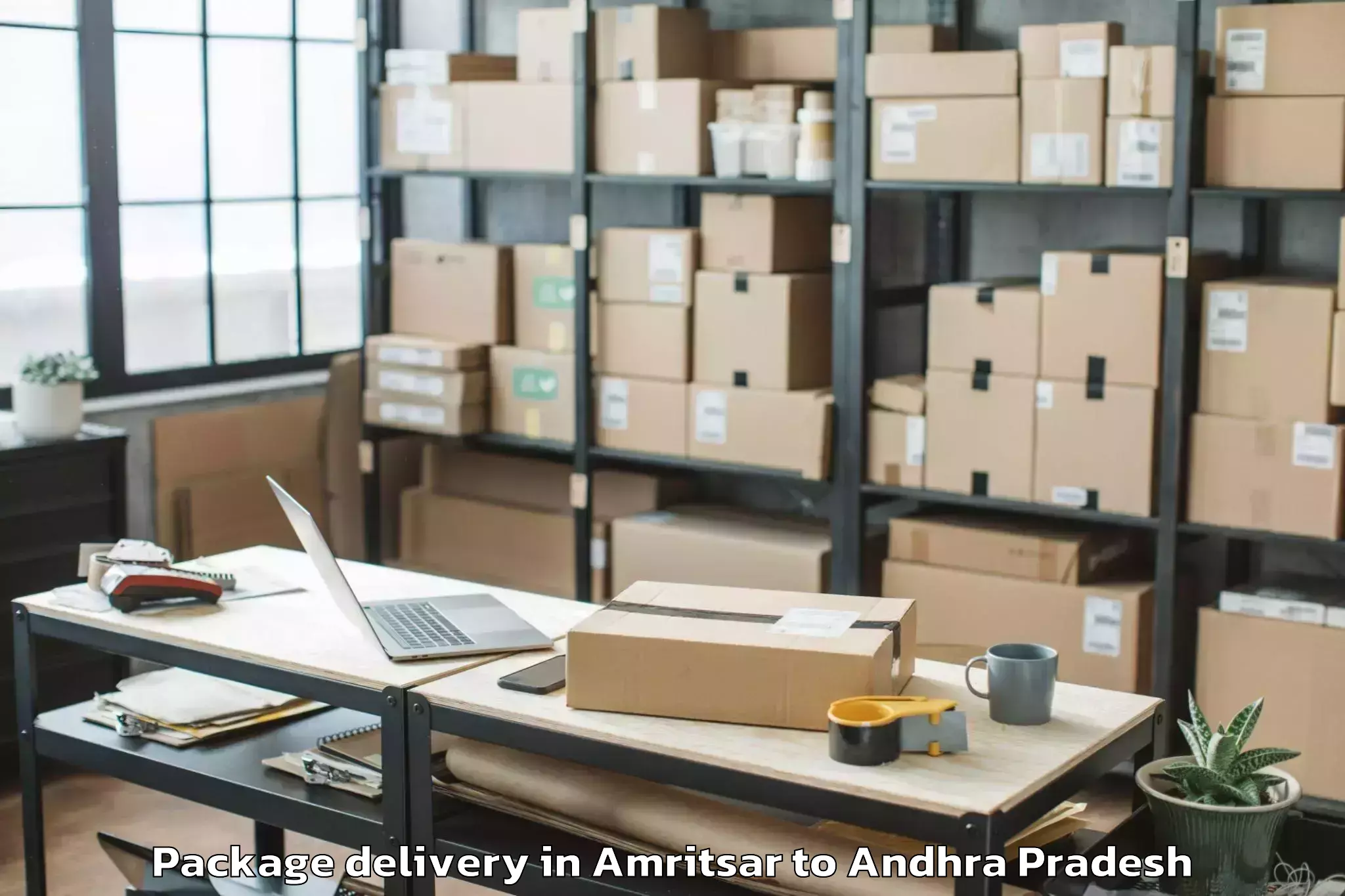 Professional Amritsar to Bhimadole Package Delivery